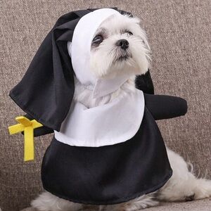 Pet Halloween costume Size Small